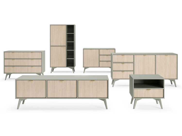 Kommode mit Türe und Schubladen Modena Grün